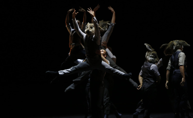 Image for Malta International Arts Festival