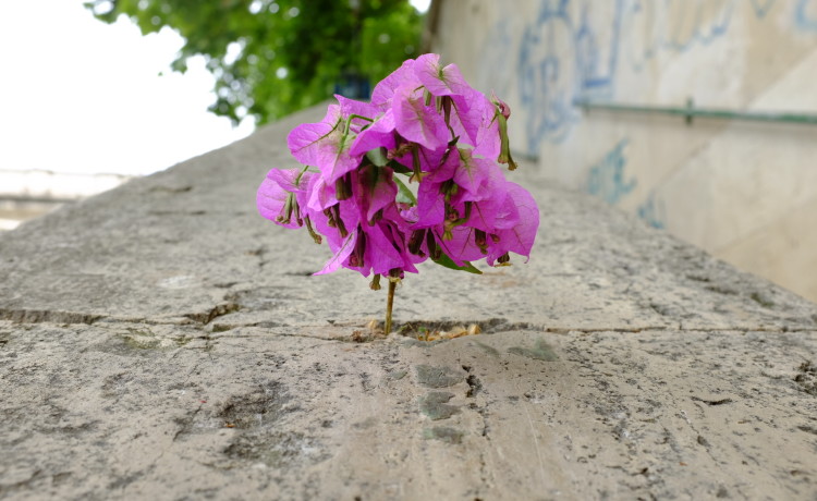 Image for Open Call: Residency for a Maltese Artist in Wrocław