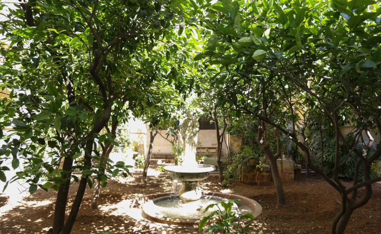 400-year-old gardens in Valletta opening to the public